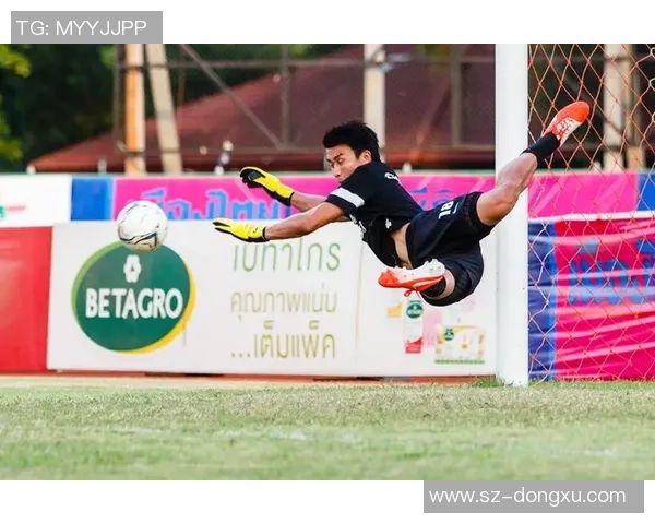 六年级学生选择合适足球球星号数的参考指南